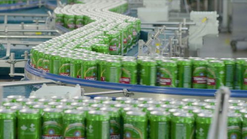 线上线下多维赋能，青岛啤酒以品质致敬冬奥会网站建设