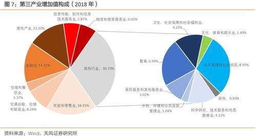 就地过年 一道复杂的一季度GDP数学题——以信息技术服务业为典型案例